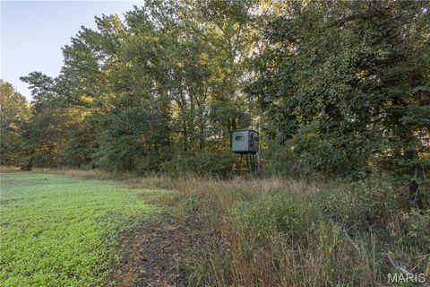 Tiny photo for 367 Co Road, Kahoka, MO 63445 (MLS # 25067694)