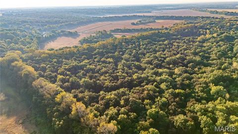 Tiny photo for 367 Co Road, Kahoka, MO 63445 (MLS # 25067694)