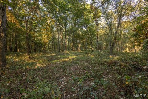 Tiny photo for 367 Co Road, Kahoka, MO 63445 (MLS # 25067694)