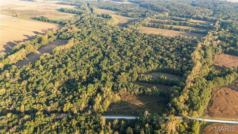 Photo of 367 Co Road, Kahoka, MO 63445 (MLS # 25067694)