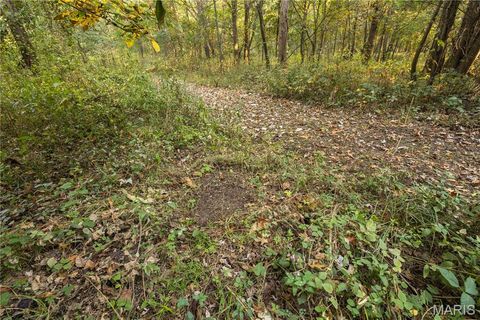 Tiny photo for 367 Co Road, Kahoka, MO 63445 (MLS # 25067694)