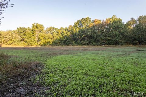 Tiny photo for 367 Co Road, Kahoka, MO 63445 (MLS # 25067694)