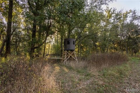 Tiny photo for 367 Co Road, Kahoka, MO 63445 (MLS # 25067694)