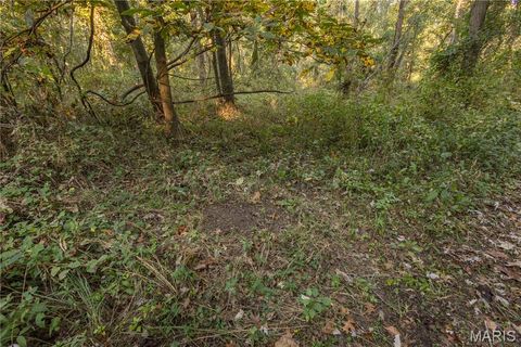 Tiny photo for 367 Co Road, Kahoka, MO 63445 (MLS # 25067694)