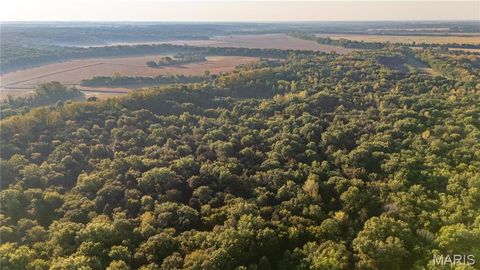 Tiny photo for 367 Co Road, Kahoka, MO 63445 (MLS # 25067694)