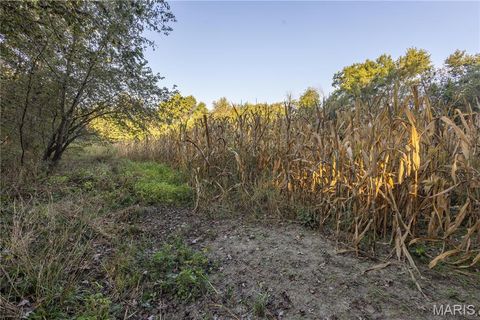 Tiny photo for 367 Co Road, Kahoka, MO 63445 (MLS # 25067694)