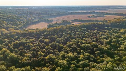 Tiny photo for 367 Co Road, Kahoka, MO 63445 (MLS # 25067694)