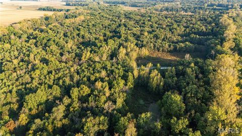 Tiny photo for 367 Co Road, Kahoka, MO 63445 (MLS # 25067694)