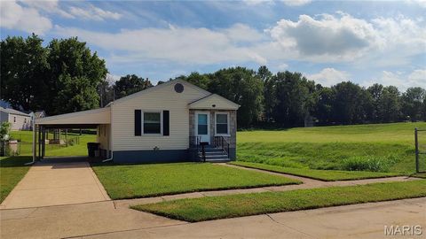 Photo of 10314 Millwood Avenue, St Ann, MO 63074 (MLS # 26046102)