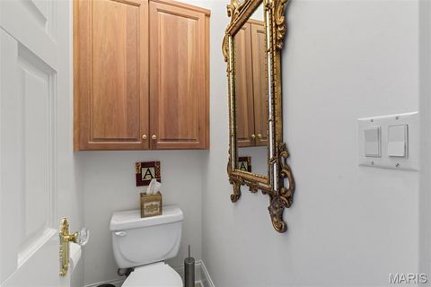 Tiny photo for 441 Park Road, Webster Groves, MO 63119 (MLS # 26010809)