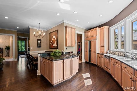 Tiny photo for 441 Park Road, Webster Groves, MO 63119 (MLS # 26010809)