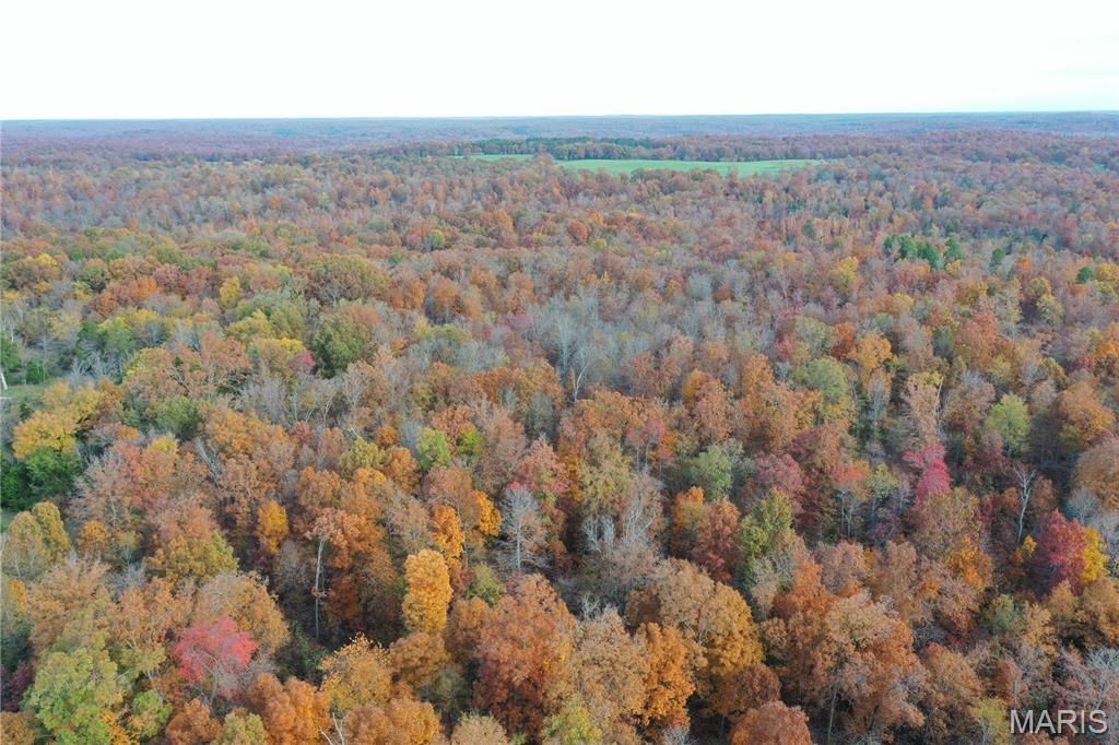 Photo of TBD Tract 5 Bobwhite Lane, Fairdealing, MO 63939 (MLS # 25080255)