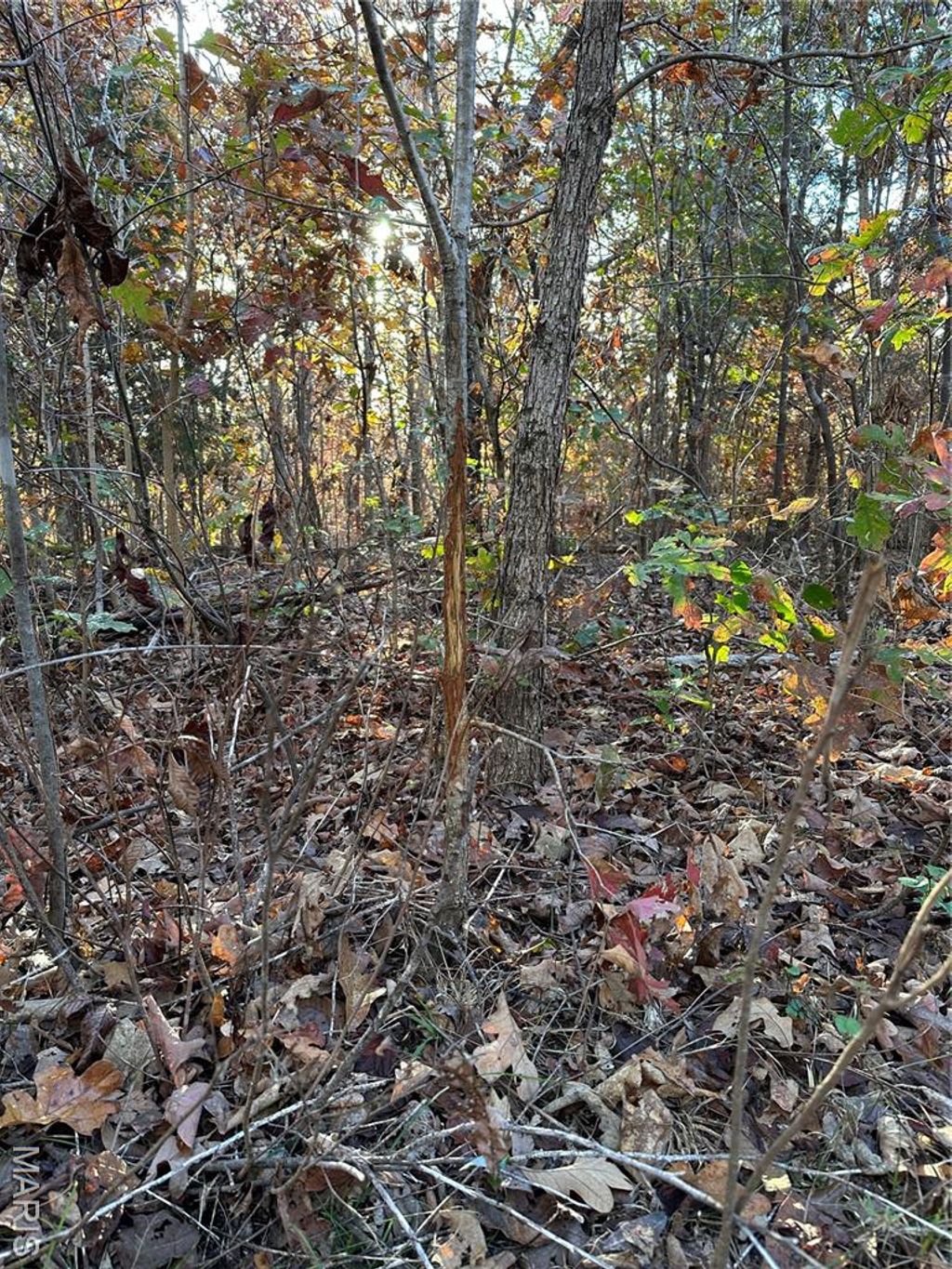 Photo of TBD Tract 5 Bobwhite Lane, Fairdealing, MO 63939 (MLS # 25080255)