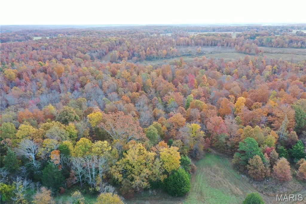 Photo of TBD Tract 5 Bobwhite Lane, Fairdealing, MO 63939 (MLS # 25080255)