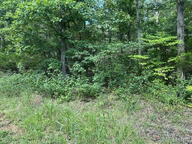 Photo of 483 Buzzard Rock Road, Farmington, MO 63640 (MLS # 26052686)