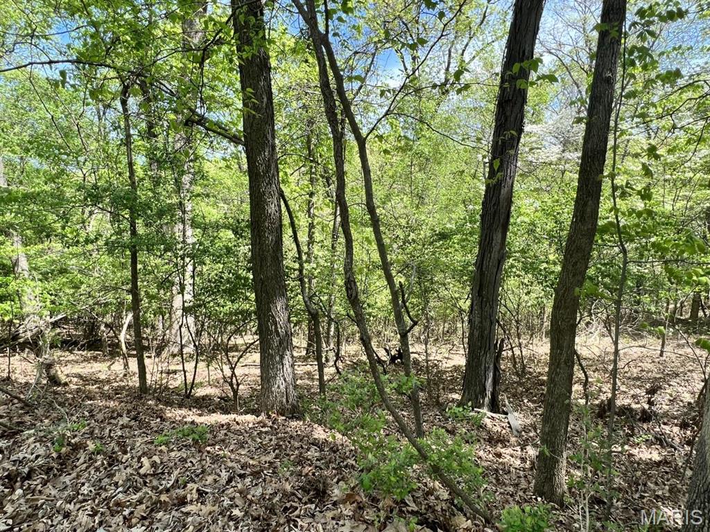 Wildwood, Missouri 63005, United States, ,Land,Active,128290