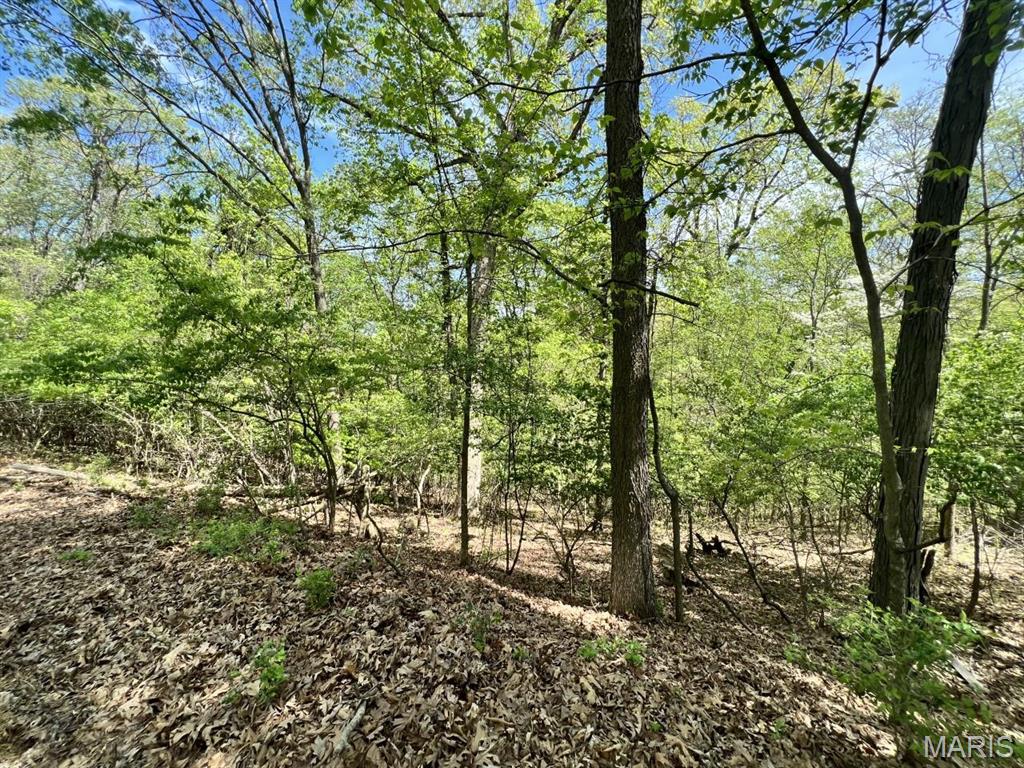 Wildwood, Missouri 63005, United States, ,Land,Active,128290