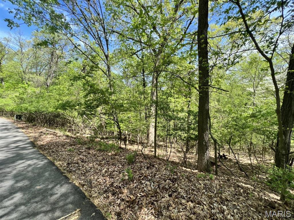 Wildwood, Missouri 63005, United States, ,Land,Active,128290