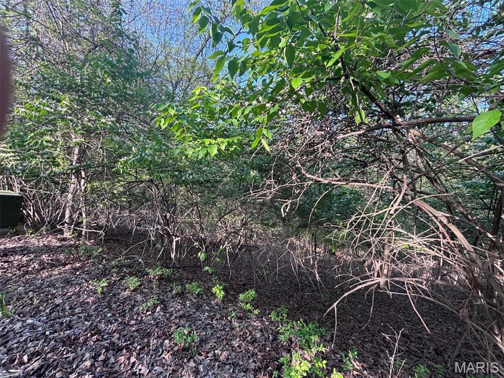 Wildwood, Missouri 63005, United States, ,Land,Active,128290