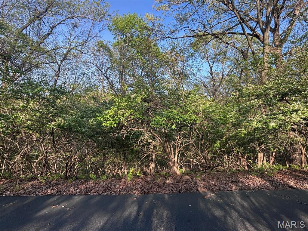 Wildwood, Missouri 63005, United States, ,Land,Active,128290