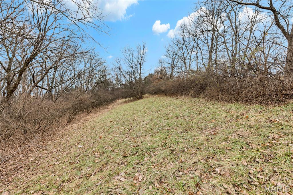 Martha Hawkens - Land