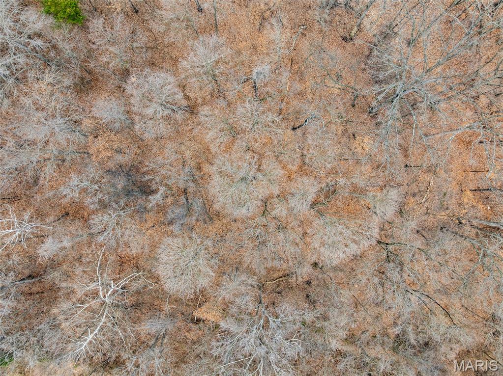 Martha Hawkens - Land