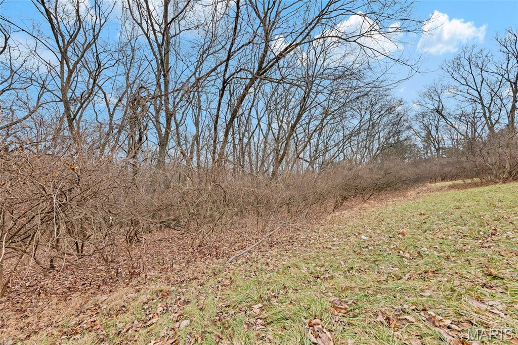 Martha Hawkens - Land