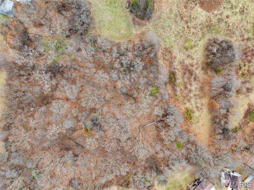 Martha Hawkens - Land