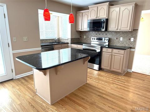 Tiny photo for 914 Palm Bay Drive, Ballwin, MO 63021 (MLS # 25047724)