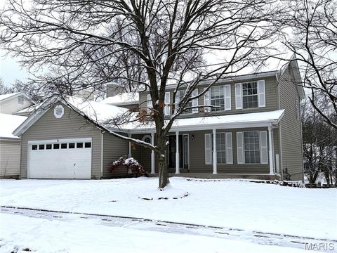 914 Palm Bay Drive Ballwin MO 63021