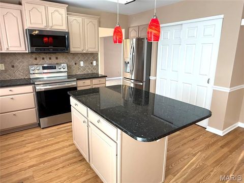 Tiny photo for 914 Palm Bay Drive, Ballwin, MO 63021 (MLS # 25047724)