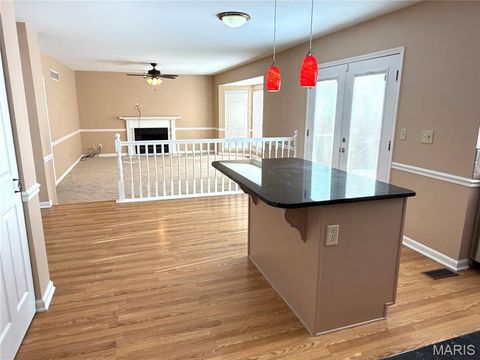 Tiny photo for 914 Palm Bay Drive, Ballwin, MO 63021 (MLS # 25047724)