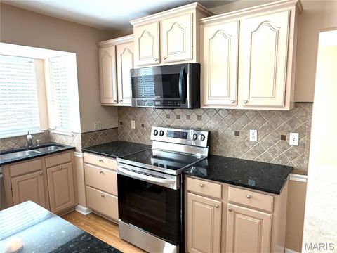 Tiny photo for 914 Palm Bay Drive, Ballwin, MO 63021 (MLS # 25047724)