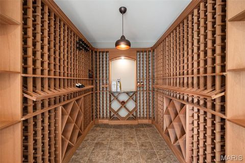 Tiny photo for 1401 Fox Hill Farms Court, Chesterfield, MO 63005 (MLS # 26008688)