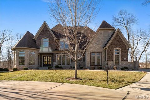 Photo of 1401 Fox Hill Farms Court, Chesterfield, MO 63005 (MLS # 26008688)