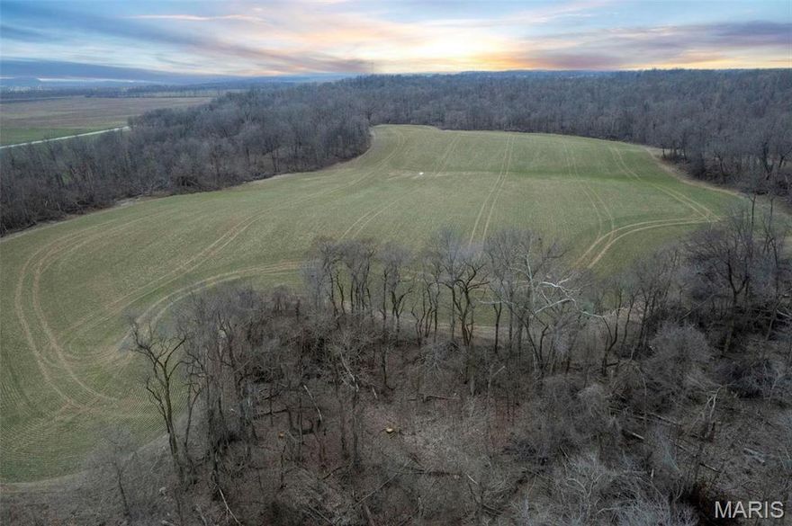 This 650 acres of unrestricted land is located between the renowned Dalhousie Golf Course and Interstate 55.  It offers privacy, convenient location, panoramic views, and profitable opportunities of development.  Direct access to Highway 74/61, and less than 1 mile from Exit 93 on I-55.  Seize the chance to transform this blank canvas into a thriving residential haven, where families can build their dreams amidst the beauty of the natural world.  Nature enthusiasts will delight in the abundance of wildlife, and the multitudes of deer & turkey roaming freely throughout the landscape.  Offering a harmonious blend of woods and sprawling pasturelands, this is a promising and  picturesque canvas for your vision.  This land is subject to a final survey and legal description.  This location cannot be beat and has not been up for public sale for decades.