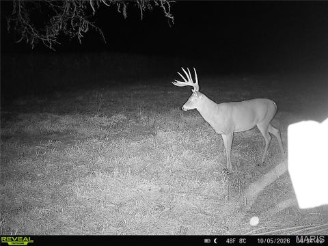 Tiny photo for Curryville, MO 63359 (MLS # 26022695)