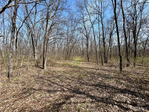 Tiny photo for Curryville, MO 63359 (MLS # 26022695)