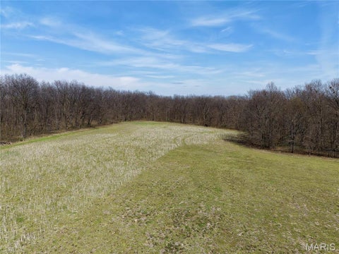 Tiny photo for Curryville, MO 63359 (MLS # 26022695)