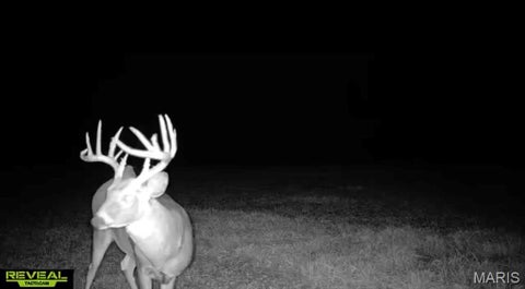 Tiny photo for Curryville, MO 63359 (MLS # 26022695)