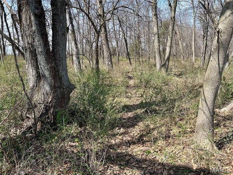 Tiny photo for Curryville, MO 63359 (MLS # 26022695)