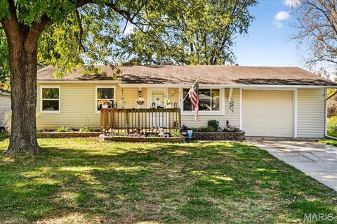 Photo of 1405 De Porres Lane, St Charles, MO 63304 (MLS # 25073956)