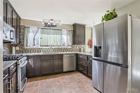 Tiny photo for 117 Old Oaks Drive, Ballwin, MO 63011 (MLS # 25076670)