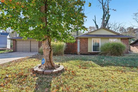 Photo of 117 Old Oaks Drive, Ballwin, MO 63011 (MLS # 25076670)