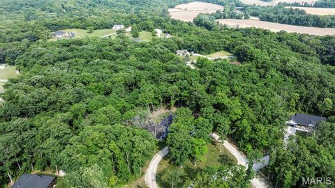 Tiny photo for 14633 Dotzler Way, Troy, MO 63379 (MLS # 25019121)