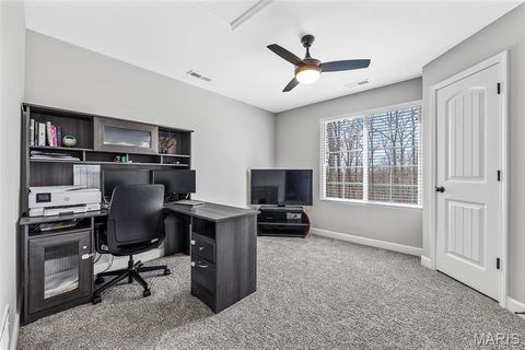 Tiny photo for 14633 Dotzler Way, Troy, MO 63379 (MLS # 25019121)