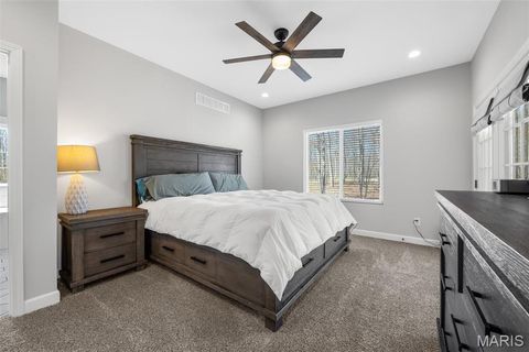 Tiny photo for 14633 Dotzler Way, Troy, MO 63379 (MLS # 25019121)