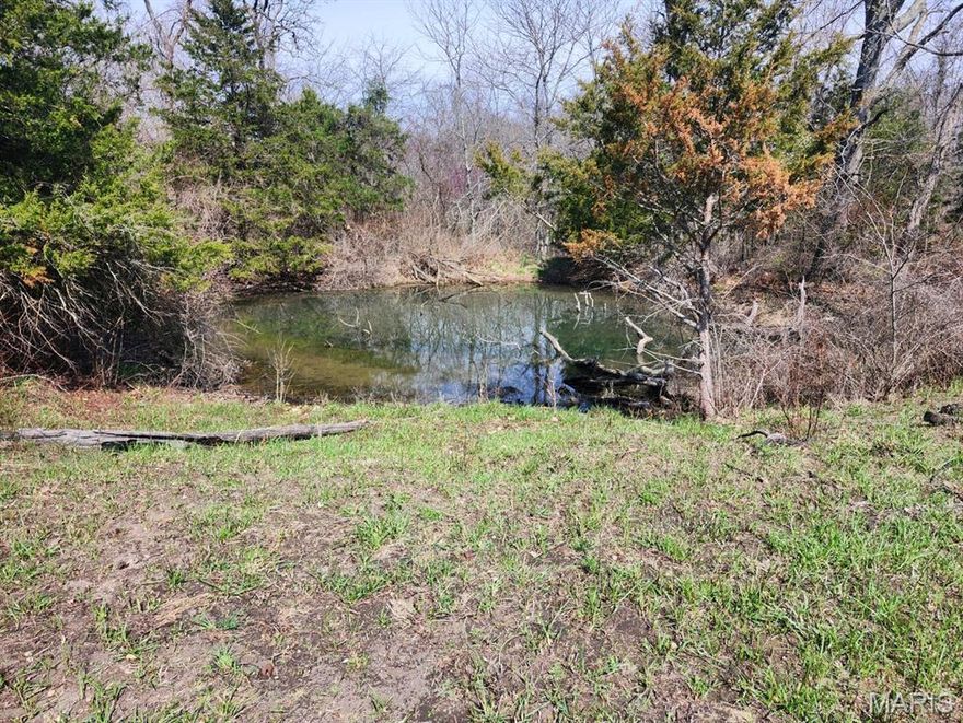 8 ACRES M/L, more land available, Springs and pond, open with some woods, power nearby, private home spots off the road, Build a cabin and call this home, Gravel road frontage, less than 2 minutes to black top Highway, 15 min to town, Texas County known for its kind folks and Hunting. Come give this a look.