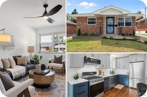 Photo of 4000 Steffens Avenue, St Louis, MO 63116 (MLS # 25074333)