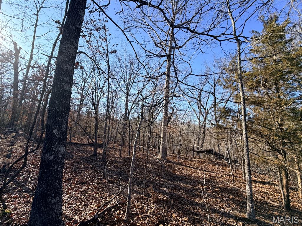 Gospel Ridge Comm - Land